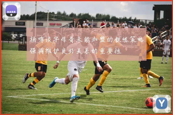 杨鸣谈字母哥未能加盟的教练策略强调维护良好关系的重要性