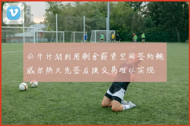 公牛计划利用剩余薪资空间签约鲍威尔热火先签后换交易难以实现